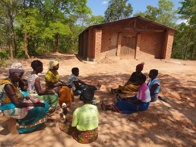 Eine Gruppe Frauen in bunter malawischer Kleidung sitzt im Kreis im Schatten eines Baumes. In der Mitte liegen einige Geldscheine. Die Frauen sind Teil eines dörflichen Spar- und Darlehensprogramms.